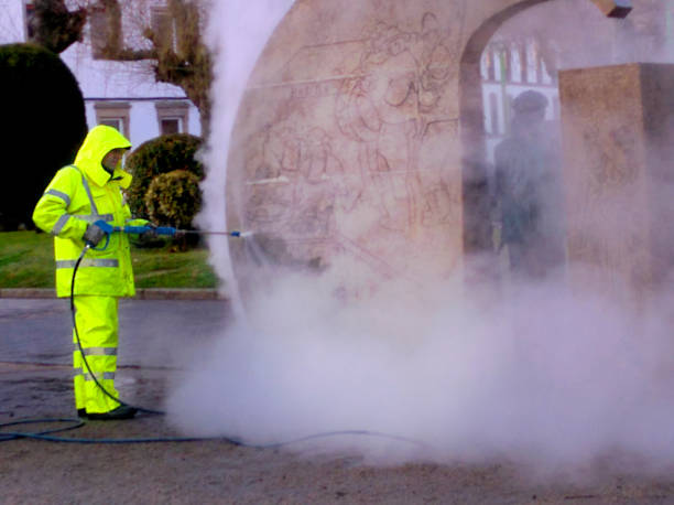 Best Pressure Washing Contractors  in Smithton, IL